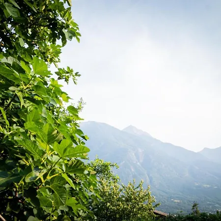 아파트 Casa Celesta *